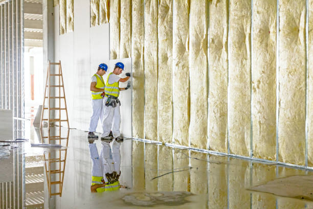 Best Affordable Insulation Services  in Apple Valley, UT